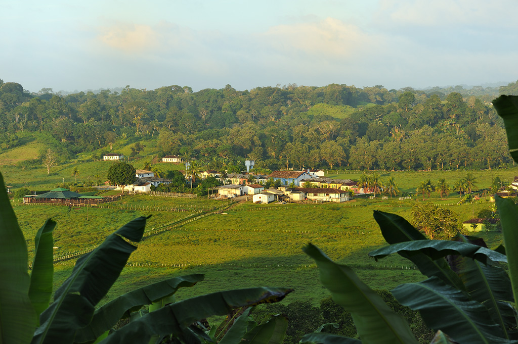 The Cocoa Farm 'Boa Sentença'