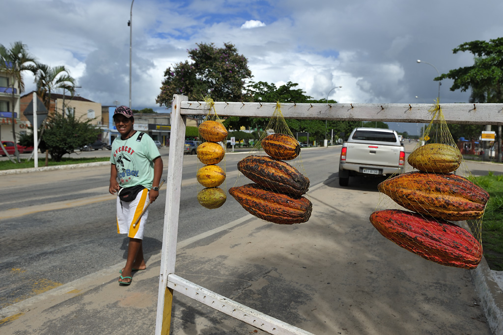 ...first cocoa street vendor...