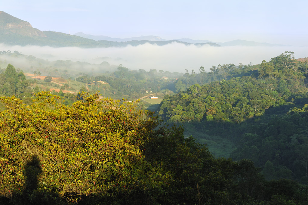 Beautiful, green, sprawling and blossoming landscapes