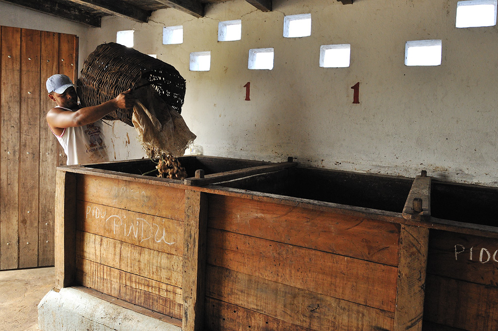 In the fermentation house