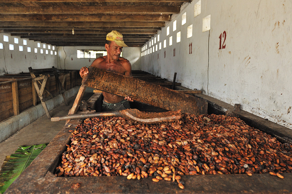 Manuel opens the fermentation container