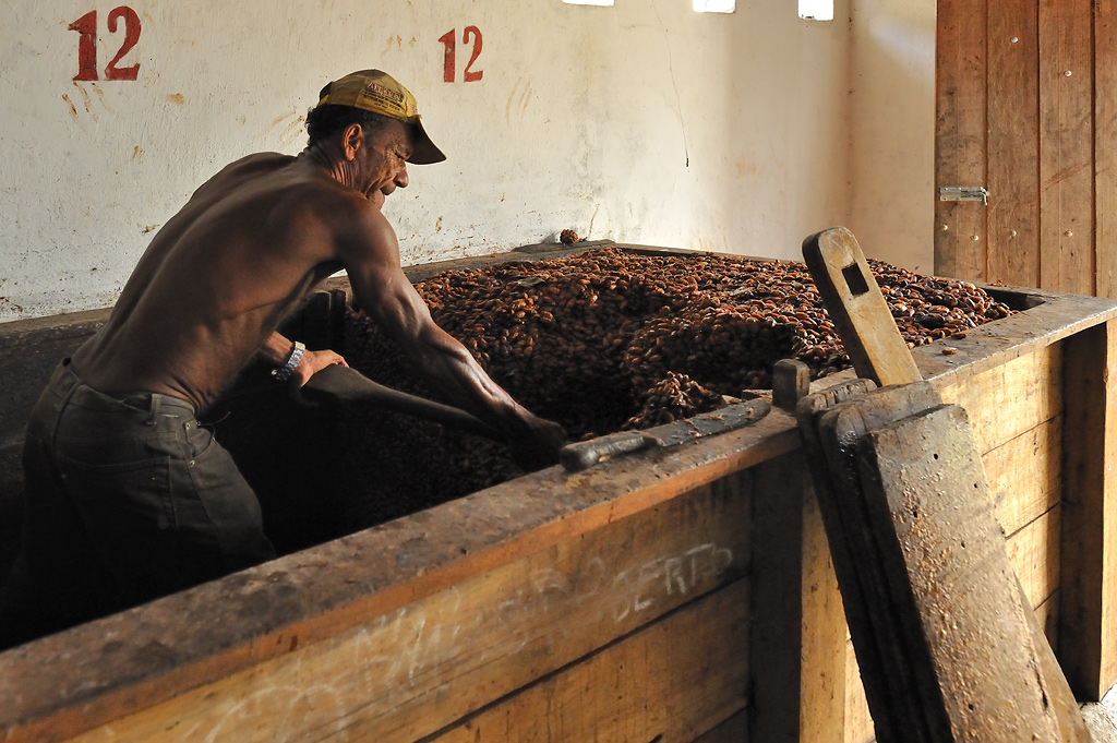 Manuel in the fermentation container