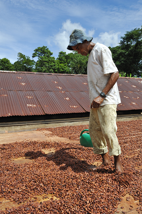 Treading on the beans ...