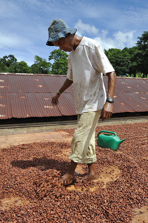 Treading on the beans ...