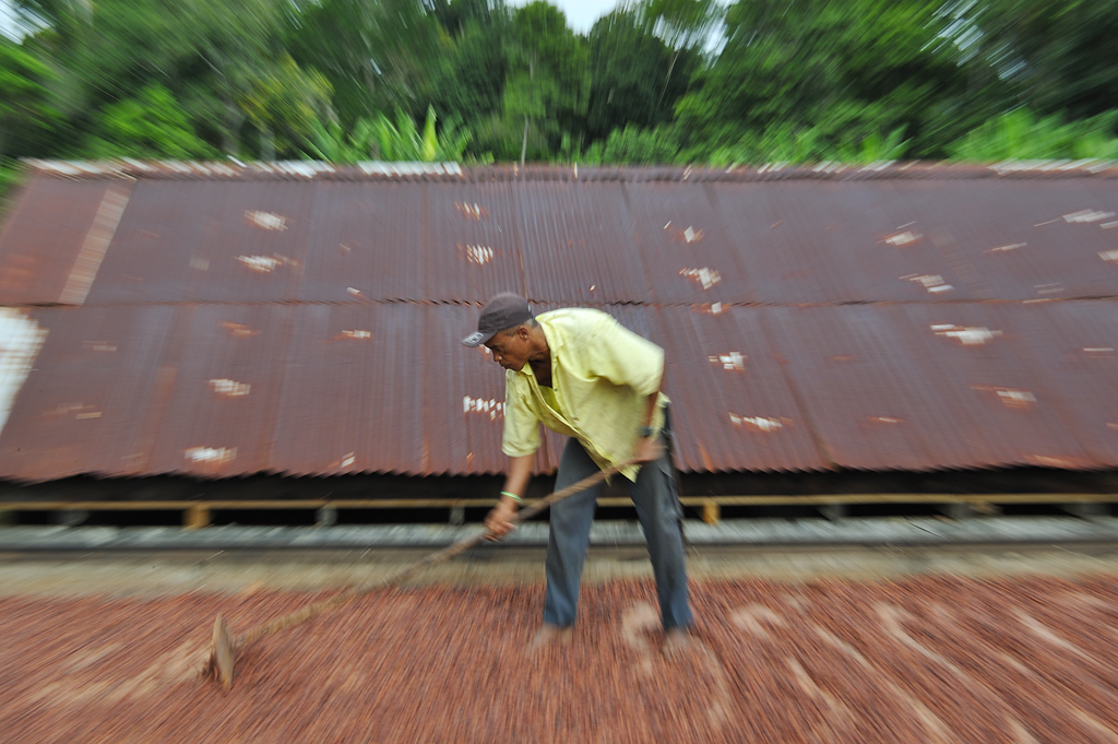 Turning cocoa