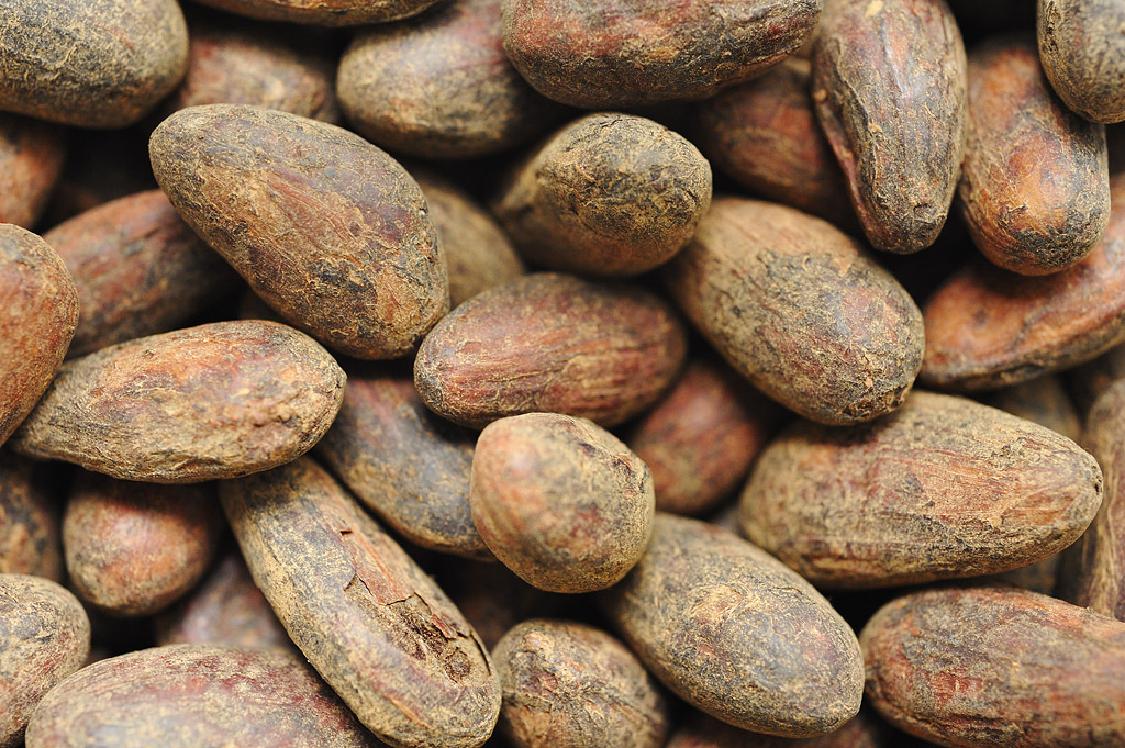 Roasted cocoa beans
