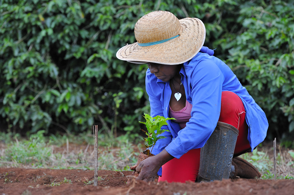 Ivone planting a new sapling
