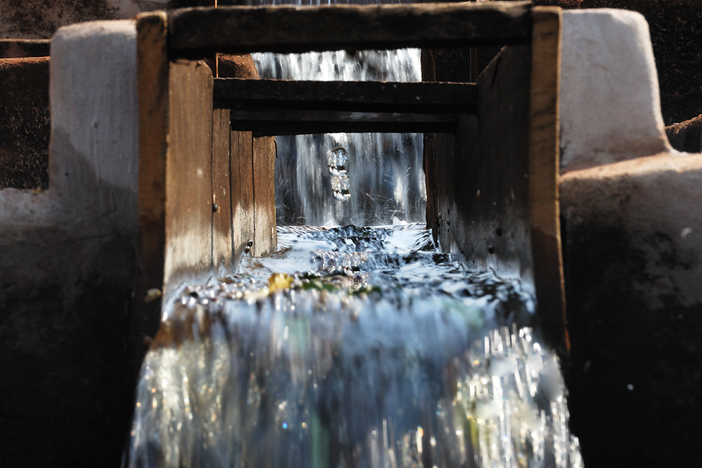 In the water canal