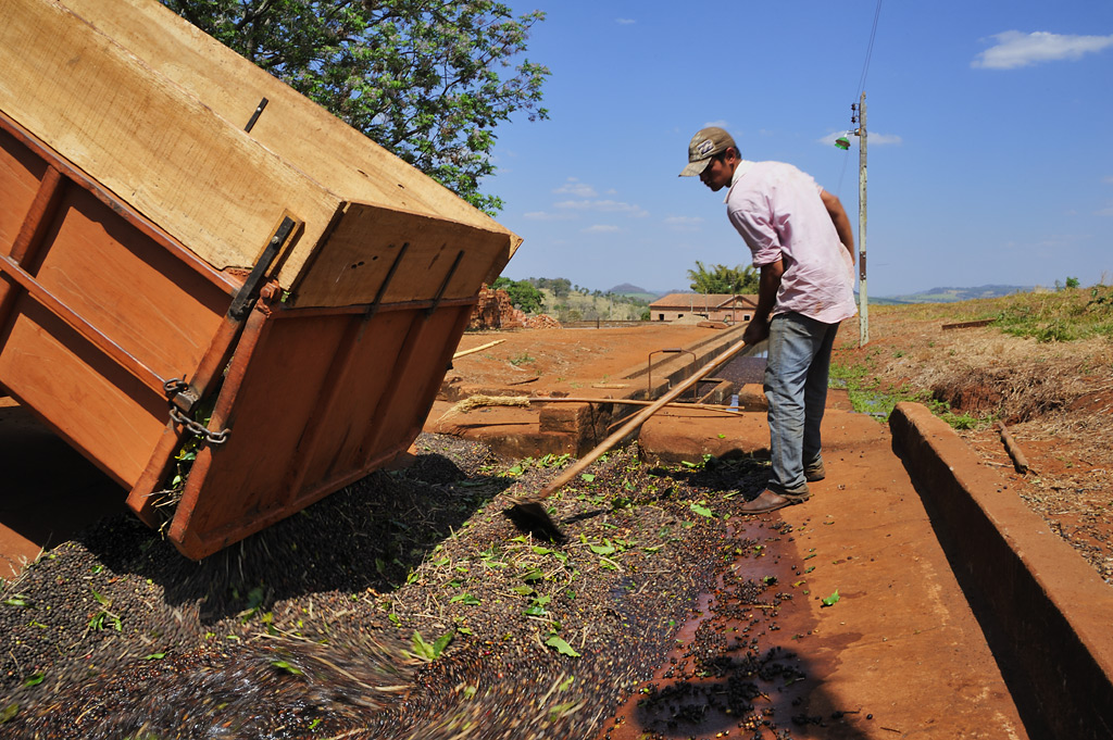 The coffee offloaded for ‘washing’