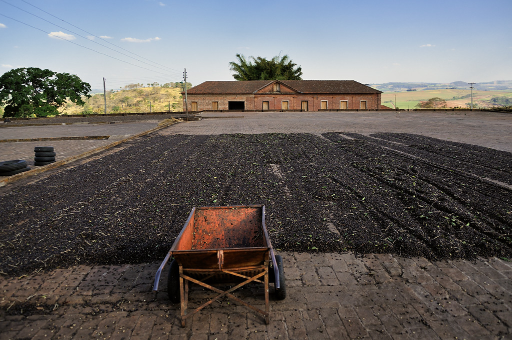 Drying areas for coffee - in the background the coffee warehouse