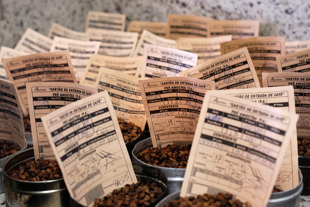 Batch card system for the evaluation of coffees in the Fa. "Cooparaíso"