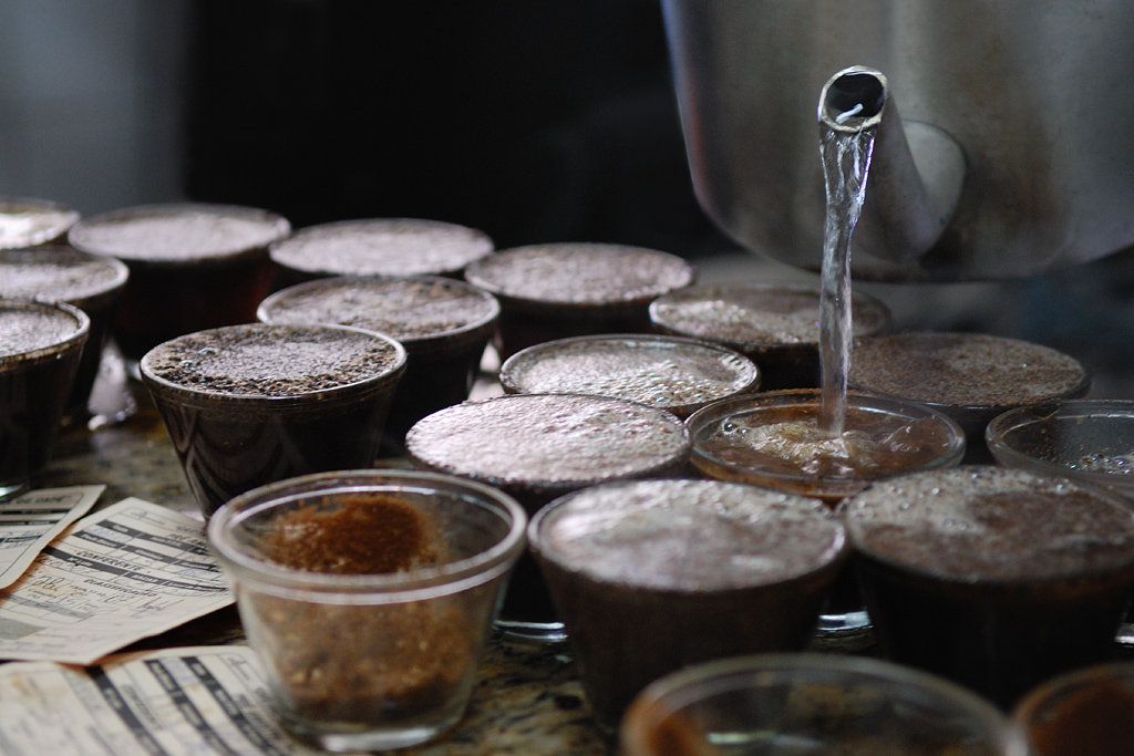 Preparation of the coffee cupping