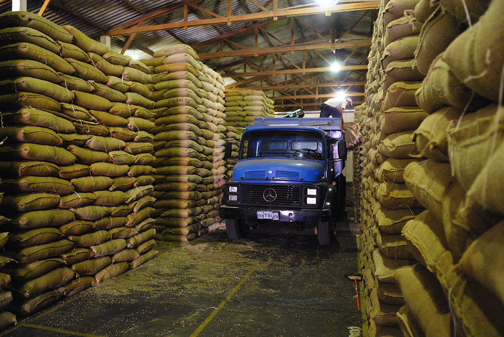 In the warehouse of the coffee cooperative "Cooparaíso"
