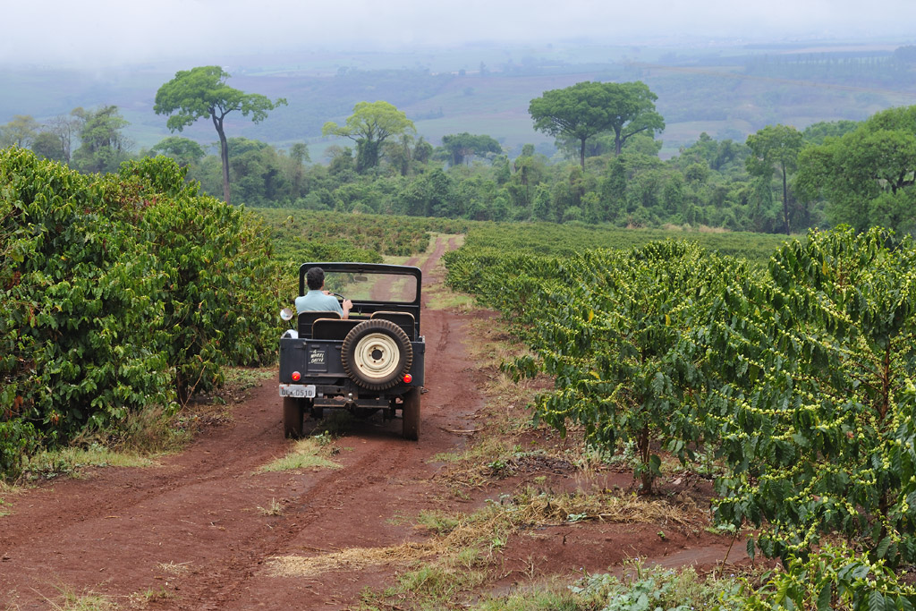 Coffee Planter Paulo on his inspection ride