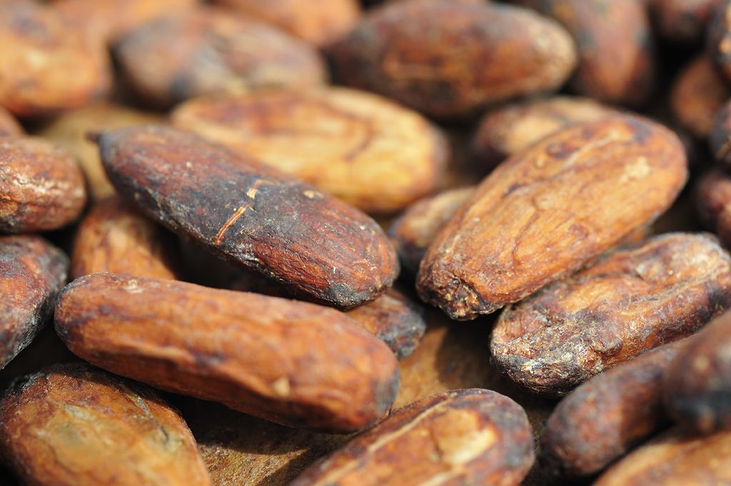 Trocknende Kakaobohnen