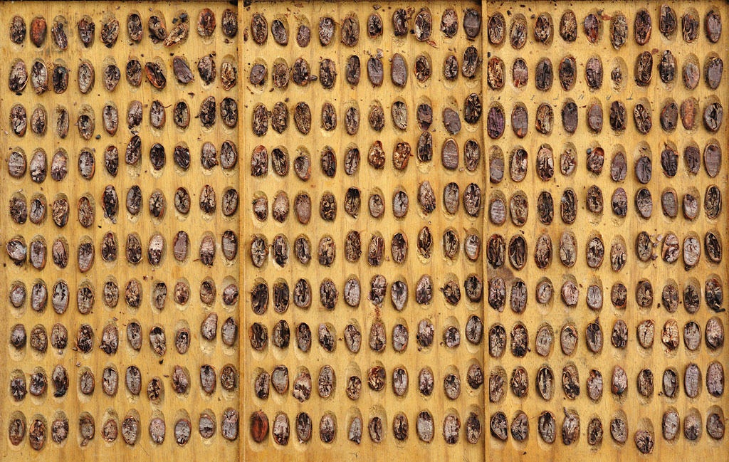 Klassifikation der Kakaobohnen