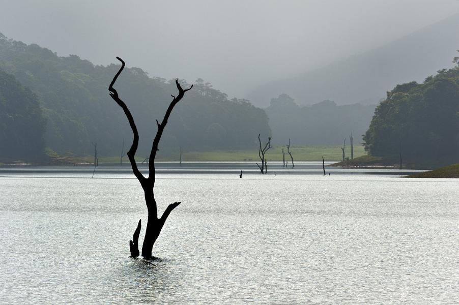 Lake Periyar, Kerala, India