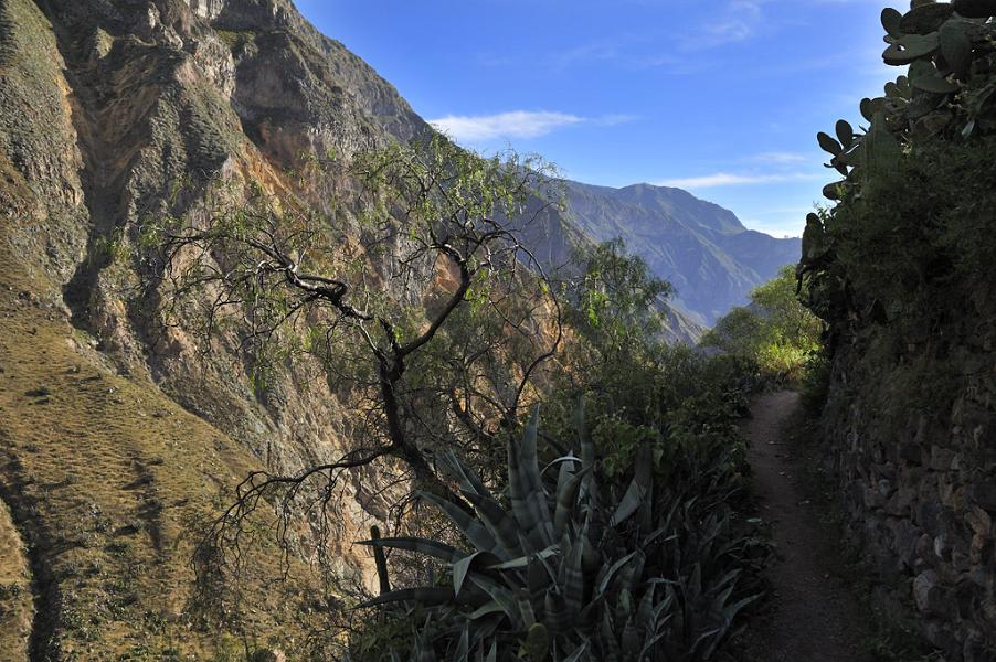 Cañon de Colca, Peru