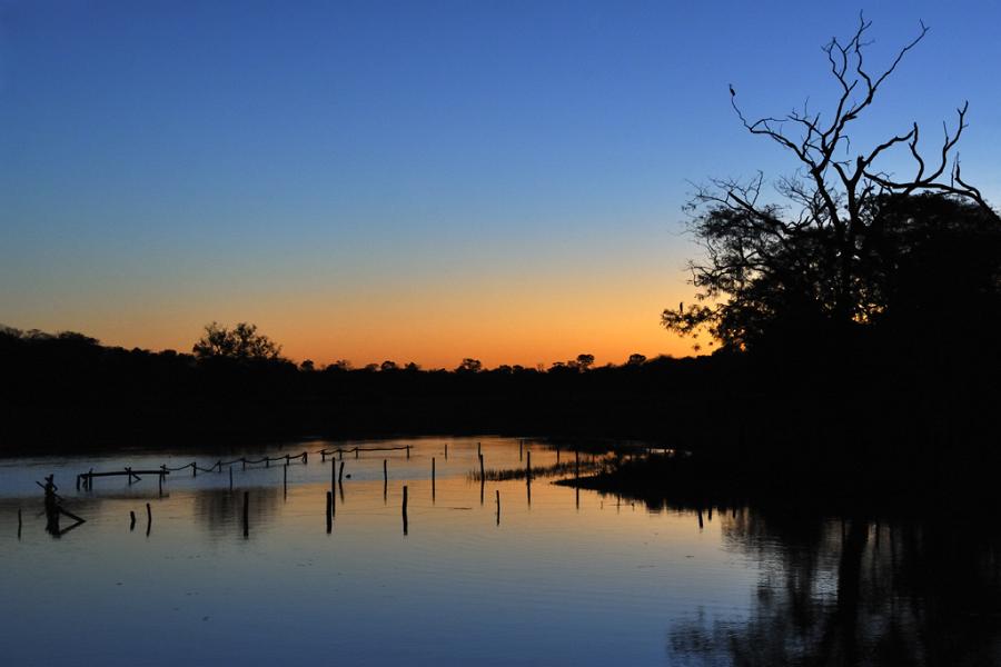 Pantanal