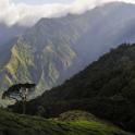 Munnar, Kerala, India