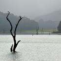 Lake Periyar, Kerala, India