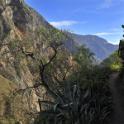 Cañon de Colca, Peru