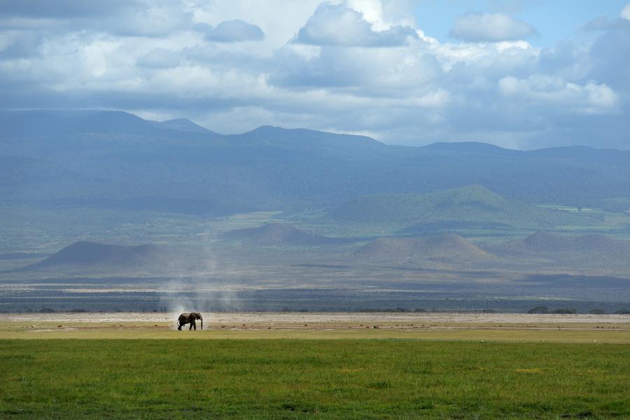 Kenya, Maasai Mara