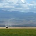 Kenya, Maasai Mara