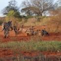 Kenya, Tsavo National Park (West)