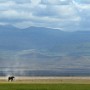 Kenya, Amboseli NP