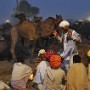 "Camp fire chat", Pushkar Camel Fair