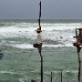 Stilt fisher of Koggala, Sri Lanka
