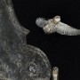Barn owls, Mumbai