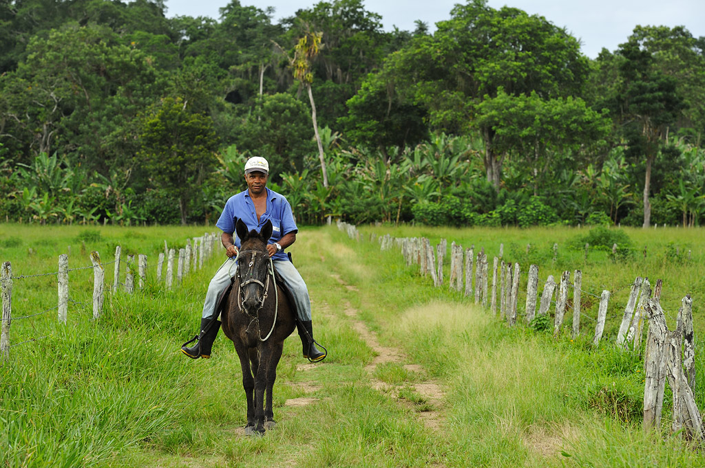 Zé Alberto, foreman