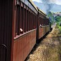 "The Arrival" (Maria Fumaça steam locomotive, Campinas - Jaguariúna line, Brazil) 